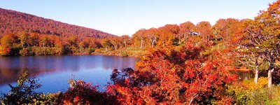 ⛰️ 구리코마 산 (栗駒山) 이미지 2